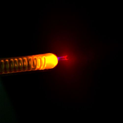 Violet Wand - Foto 1