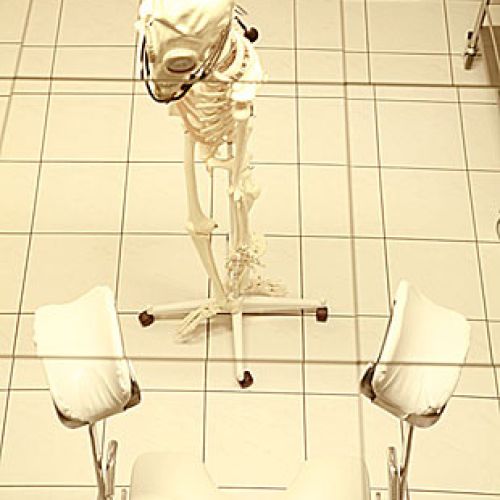 Klinik - Foto 12 von 18